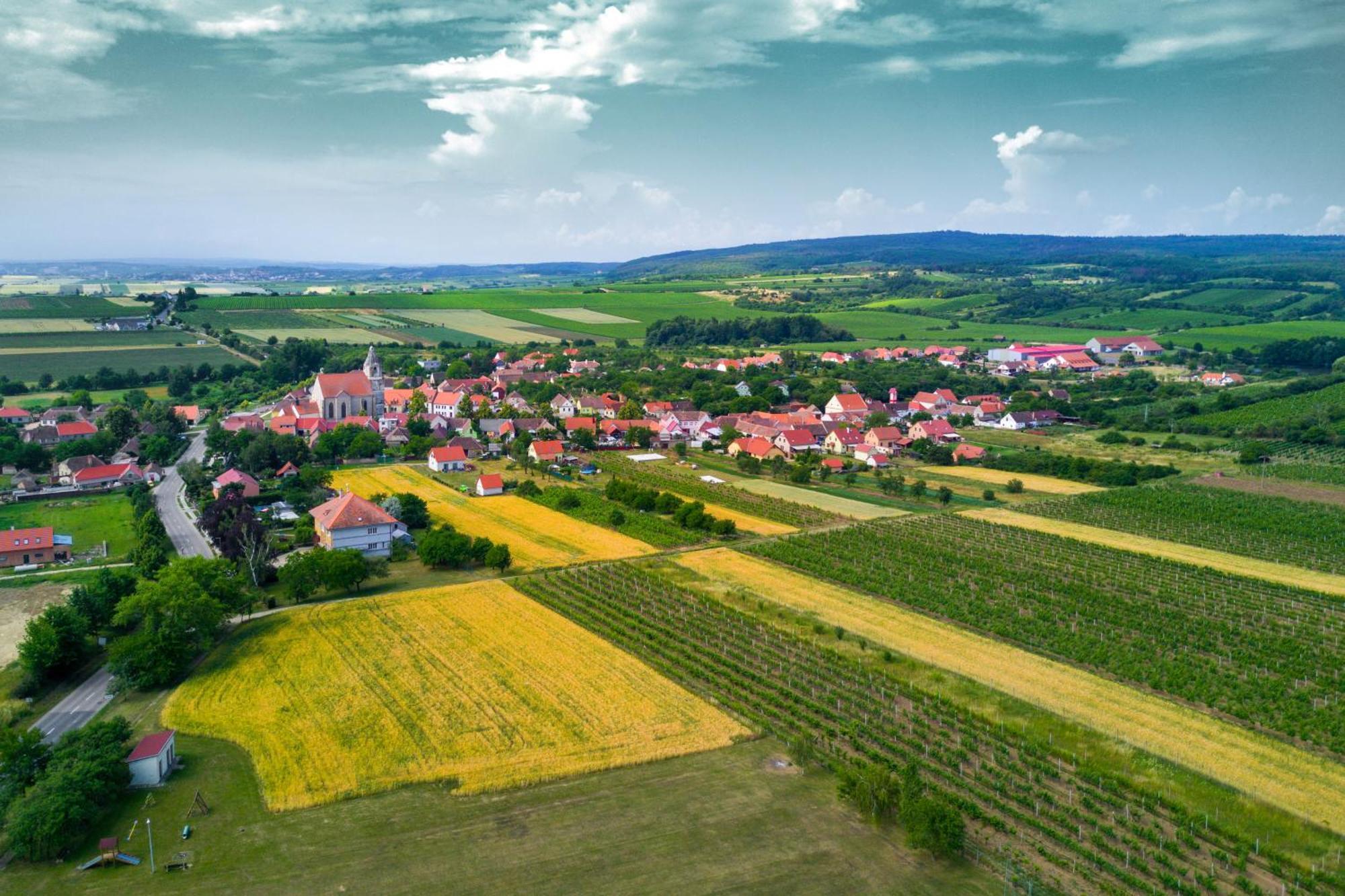 Vinice Hnanice (Znojmo)